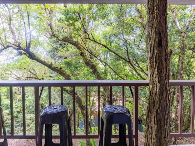 Cantos Del Bosque Monteverde Εξωτερικό φωτογραφία