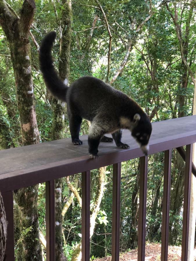 Cantos Del Bosque Monteverde Εξωτερικό φωτογραφία